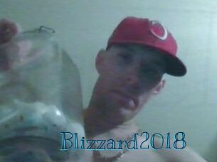 Blizzard2018