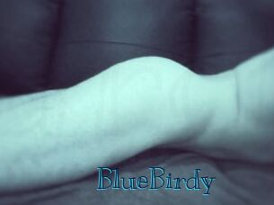 BlueBirdy