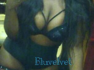 Bluvelvet