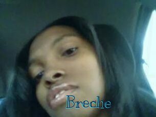 Breche
