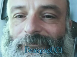 Bearpig001