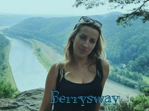 berrysway Archive DVD BIZ