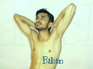 Bibin