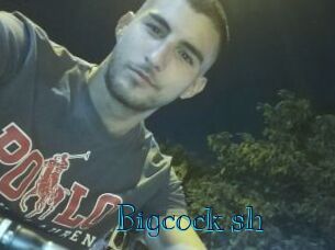 Bigcock_sh