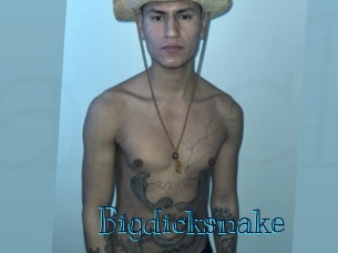 bigdicksnake Archive DVD BIZ
