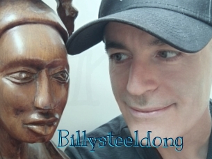 billysteeldong Archive DVD BIZ