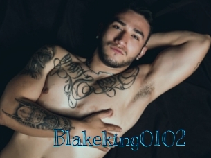 Blakeking0102