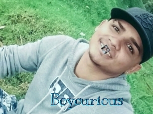 Boycurious