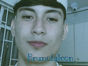 Brunofalcon