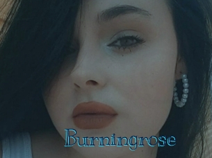 Burningrose