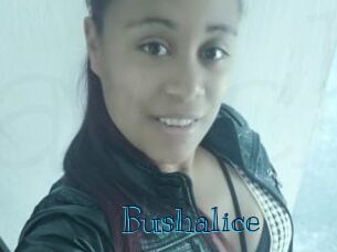 Bushalice