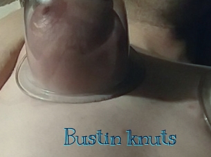 Bustin_knuts