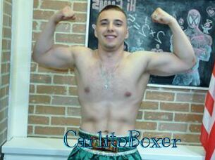 CarlitoBoxer