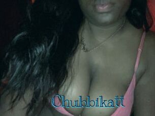 Chubbikatt Archive DVD BIZ