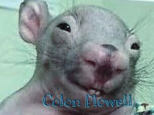 Colon_Plowell