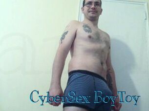 CyberSex_BoyToy