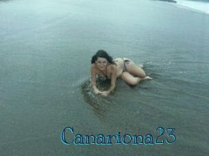 Canariona23