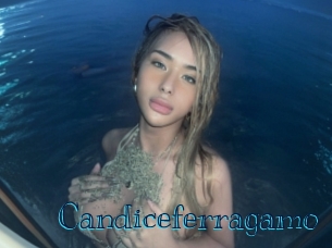 Candiceferragamo