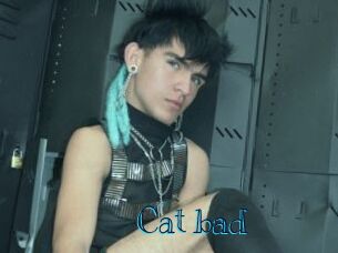 Cat_bad
