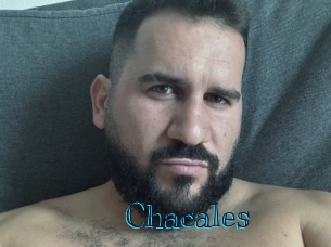 Chacales
