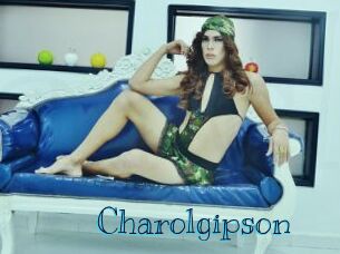 Charolgipson