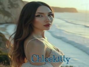 chloekitty Archive DVD BIZ