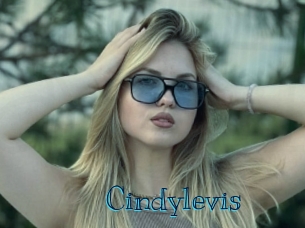 Cindylevis