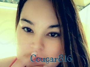 Cougar816