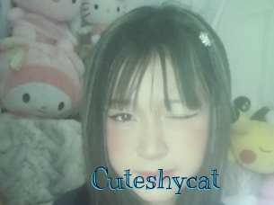 Cuteshycat