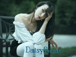 DaisySwan