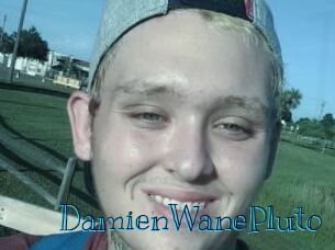 DamienWanePluto Archive DVD BIZ