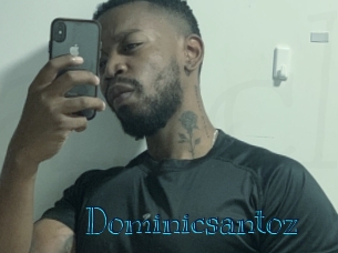 Dominicsantoz