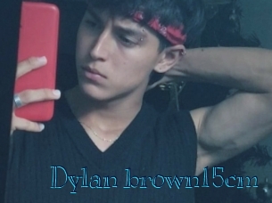 Dylan_brown15cm