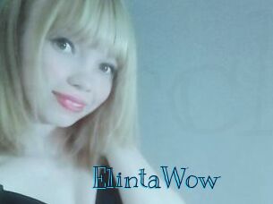 ElintaWow Archive DVD BIZ