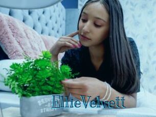 EllieVelvett