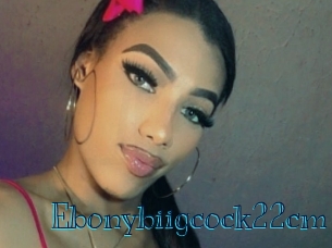 Ebonybiigcock22cm