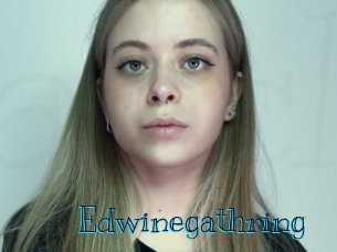 Edwinegathring