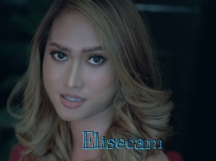 Elisecam