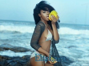 Elishara