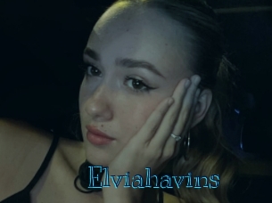 Elviahavins