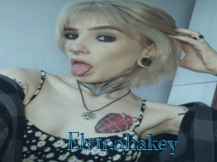 elvinahakey Archive DVD BIZ