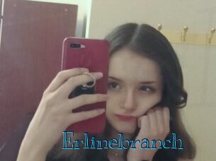 Erlinebranch