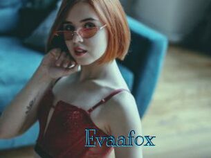 Evaafox