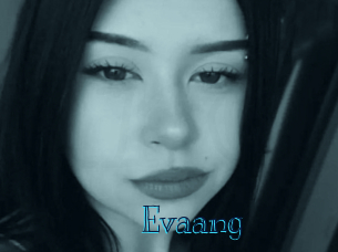 evaang Archive DVD BIZ