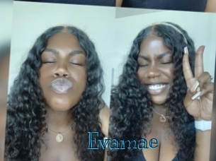Evamae