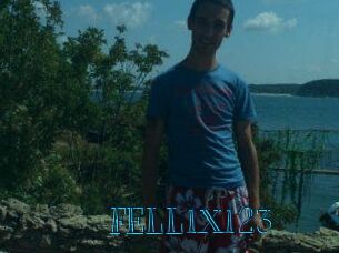FELL1X123