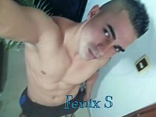 Fenix_S