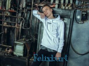 Felixburt