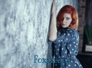 foxolesya Archive DVD BIZ