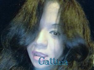 Gattina